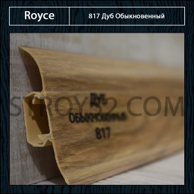 Дуб Обыкновенный 817